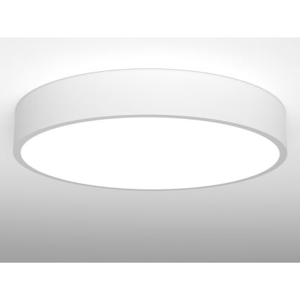 Immax NEO RONDATE - LED Plafon z pilotem LED/65W/230V