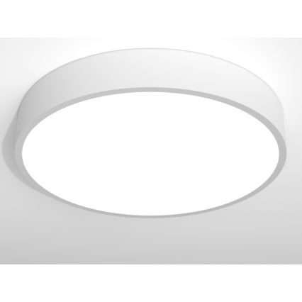 Immax NEO RONDATE - LED Plafon z pilotem LED/65W/230V