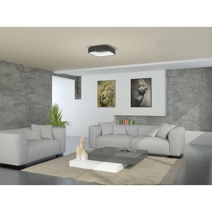 Immax NEO TOPAJA - LED Plafon z pilotem LED/47W/230V