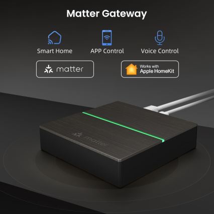 Immax NEO 07117-5 - Inteligentny MATTER BRIDGE Zigbee 3.0 230V Tuya Wi-Fi