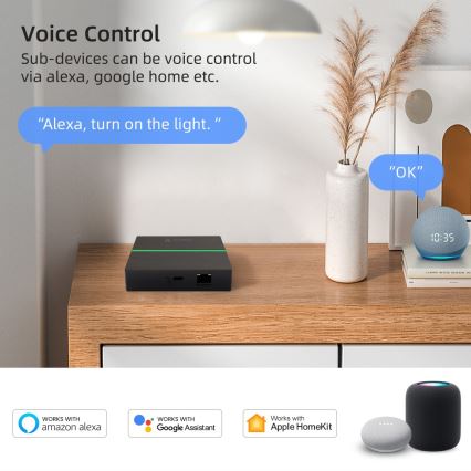 Immax NEO 07117-5 - Inteligentny MATTER BRIDGE Zigbee 3.0 230V Tuya Wi-Fi
