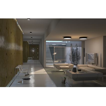 Immax NEO 07200L - LED Plafon ściemnialny RONDATE LED/18W/230V 3000-6000K śr. 25 cm czarny Tuya + pilot zdalnego sterowania