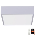 Immax NEO 07238L - LED regulowane oświetlenie sufitowe CANTO LED/22W/230V białe Tuya + pilot zdalnego sterowania