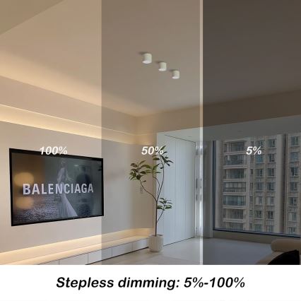 Immax NEO 07241L - ściemnialna lampa sufitowa LED RONDATE LED/18W/230V 11,5cm Wi-Fi Tuya