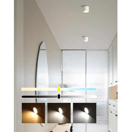 Immax NEO 07241L - ściemnialna lampa sufitowa LED RONDATE LED/18W/230V 11,5cm Wi-Fi Tuya
