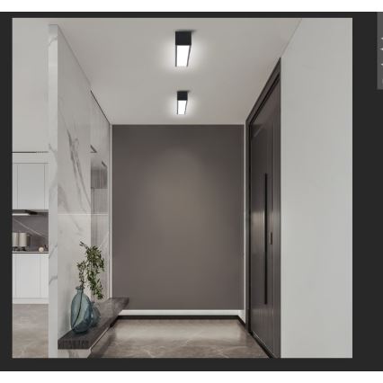 Immax NEO 07254L - LED Plafon ściemnialny NEO LITE LUNGO LED/20W/230V 3000-6000K Wi-Fi Tuya czarny + zdalne sterowanie