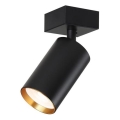 Immax NEO 07260W - LED RGB+CCT Ściemnialne oświetlenie punktowe NEO LITE PUNTO 1xGU10/6W/230V Wi-Fi Tuya