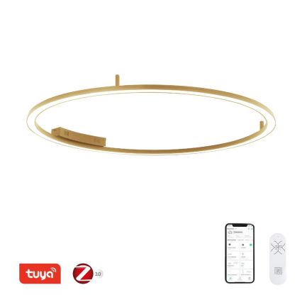 Immax NEO 07290-120G - LED+CCT ściemnialna oprawa sufitowa FINO LED/55W/230V 2700-6500K Tuya Ø 120 cm + zdalne sterowanie