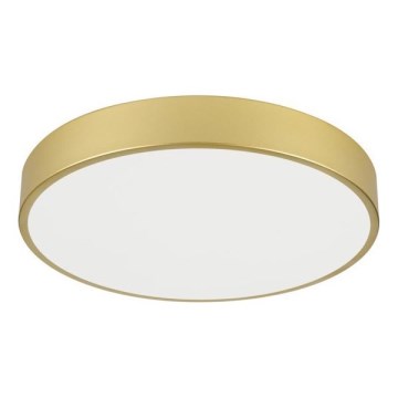 Immax NEO 07292L - ściemnialna lampa sufitowa LED NEO LITE SEMPLICI LED/36W/230V 3000–6000K śr. 40 cm Wi‑Fi Tuya złota + pilot zdalnego sterowania
