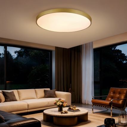 Immax NEO 07311L - LED ściemnialna oprawa sufitowa SEMPLICI LED/96W/230V, średnica 80 cm, Wi‑Fi (Tuya), złota + pilot zdalnego sterowania