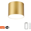 Immax NEO 07317L - LED ściemnialna oprawa sufitowa RONDATE LED/18W/230V śr. 11,5 cm Wi-Fi Tuya złota