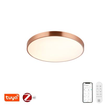 Immax NEO 07322L - ściemnialna oprawa sufitowa LED NEO LITE SEMPLICI LED/60W/230V śr. 60 cm Tuya różowe złoto + pilot zdalnego sterowania