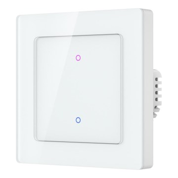 Immax NEO 07539L - Włącznik 2-przyciskowy inteligentny 230V Wi-Fi Tuya