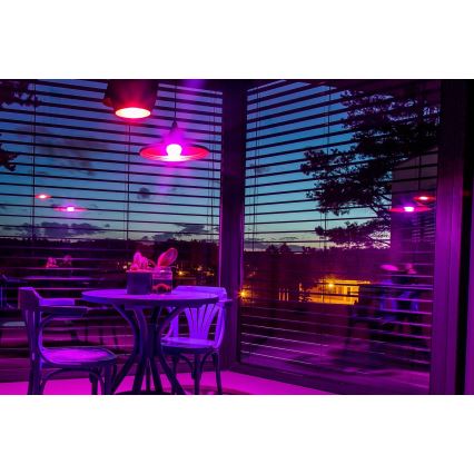 Immax NEO 07794CDO - ZESTAW 3x LED RGB+CCT ściemnialne żarówki E27/14W/230V 2700K-6500K Tuya Wi-Fi + pilot zdalnego sterowania