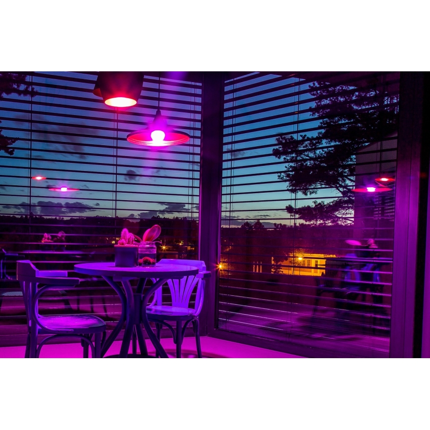 Immax NEO 07794CDO - ZESTAW 3x LED RGB+CCT ściemnialne żarówki E27/14W/230V 2700K-6500K Tuya Wi-Fi + pilot zdalnego sterowania