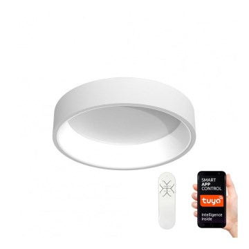 Immax NEO - LED Plafon ściemnialny AGUJERO LED/39W/230V + ZS Tuya