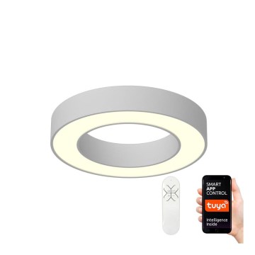 Immax NEO - LED Plafon ściemnialny PASTEL LED/52W/230V 60 cm + ZS Tuya