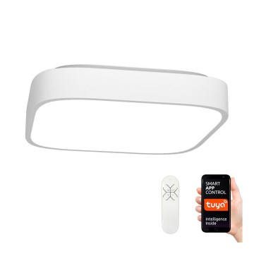 Immax NEO - LED Plafon z pilotem RECUADRO LED/67W/230V 80x80 cm Immax NEO - LED Plafon z pilotem RECUADRO LED/67W/230V 80x80 cm