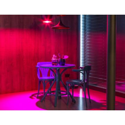 Immax NEO - LED RGB Żarówka ściemnialna E27/9W/230V 1800-6500K Tuya