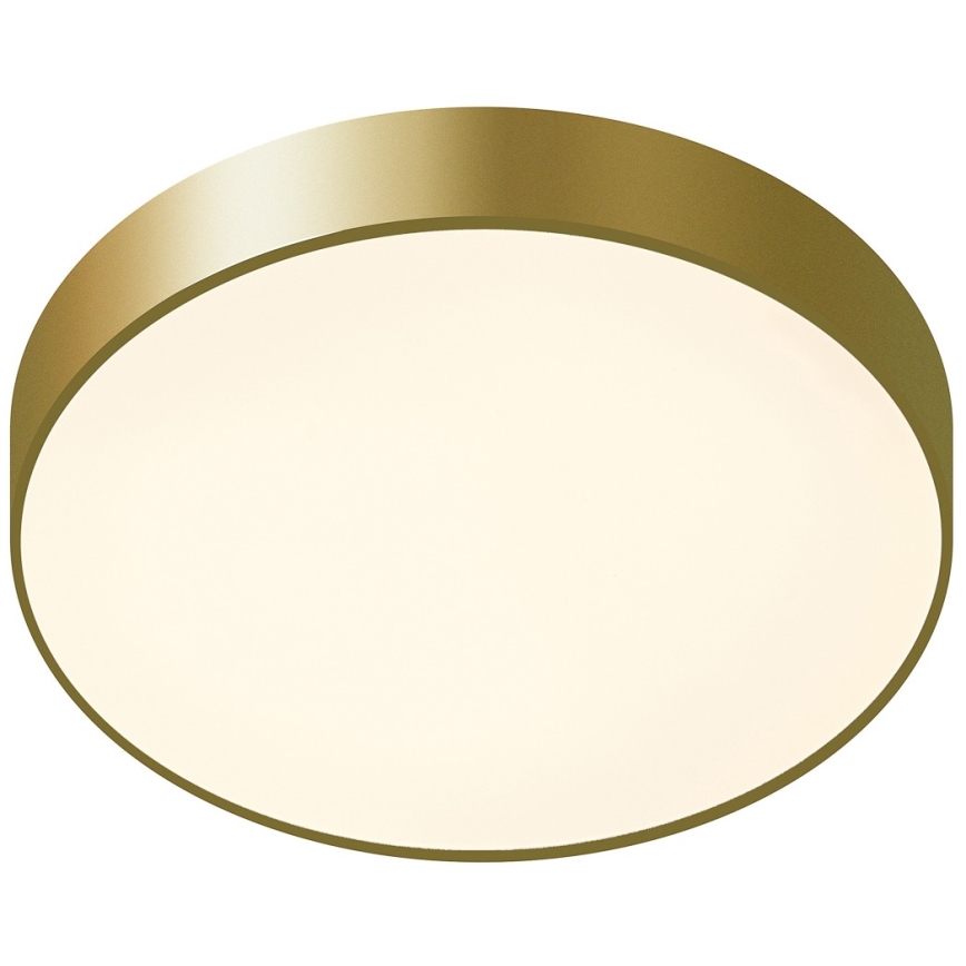 ITALUX - LED Plafon ORBITAL LED/30W/230V 3000K złoty