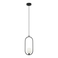 ITALUX - Lampa wisząca na linkę LUPUS 1xG9/25W/230V czarna