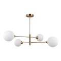 ITALUX - Lampa wisząca na pręcie EVORA 4xG9/5W/230V mosiądz
