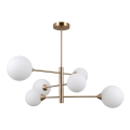 ITALUX - Lampa wisząca na pręcie EVORA 6xG9/5W/230V mosiądz