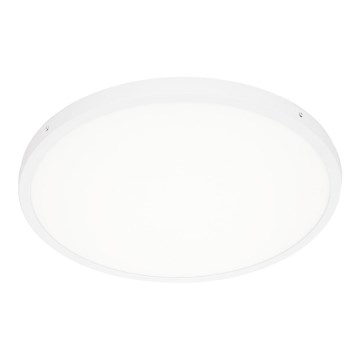 ITALUX - LED Plafon PELARO LED/36W/230V 4000K biały