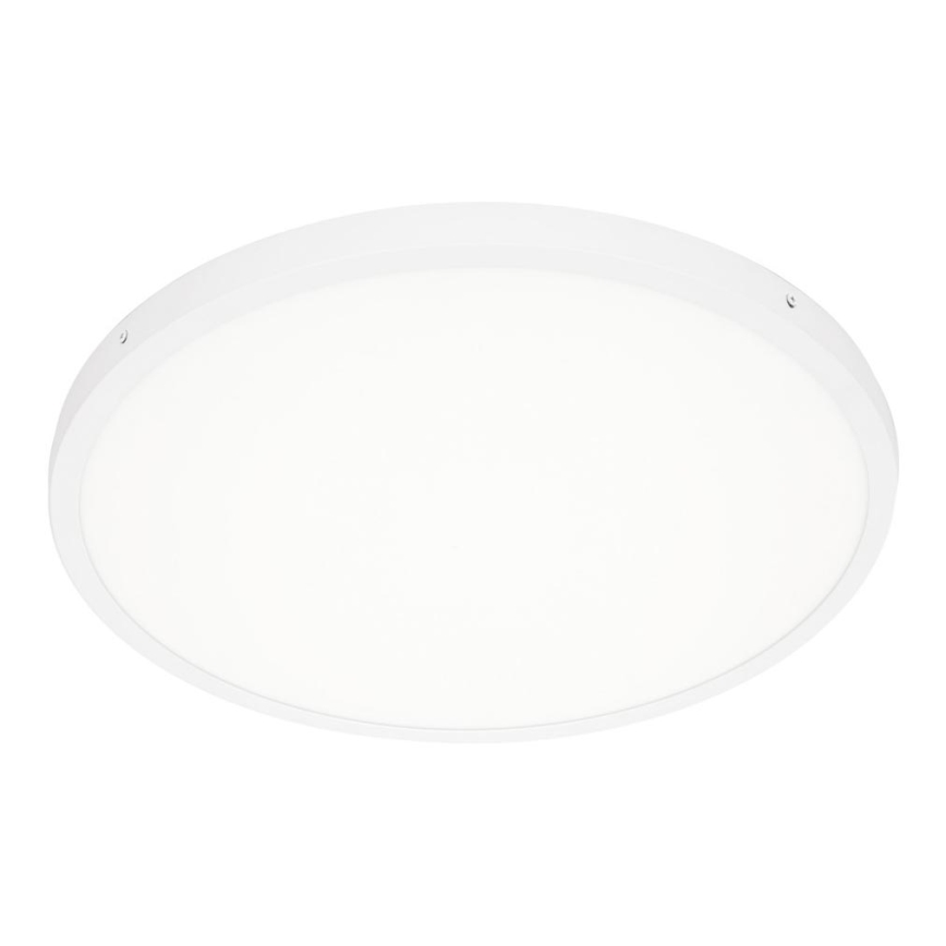 ITALUX - LED Plafon PELARO LED/36W/230V 4000K biały