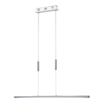 ITALUX - LED Żyrandol na lince AGAPIT LED/40W/230V