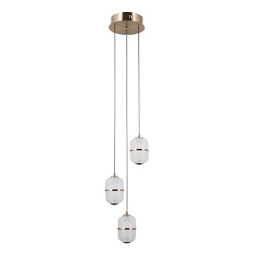 ITALUX - LED żyrandol na lince ALANI 3xLED/5W/230V 3000K złoty