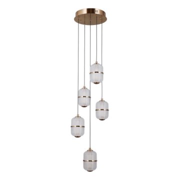 ITALUX - LED żyrandol na lince ALANI 5xLED/5,6W/230V 3000K złoty