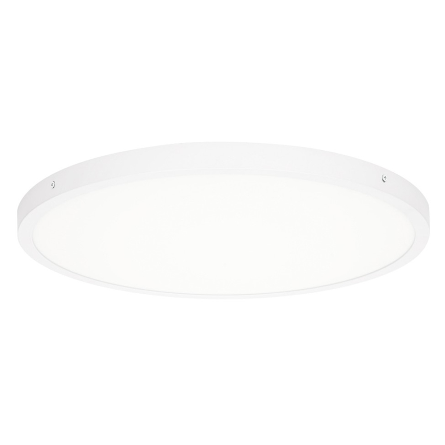 ITALUX - LED Plafon PELARO LED/36W/230V 4000K biały