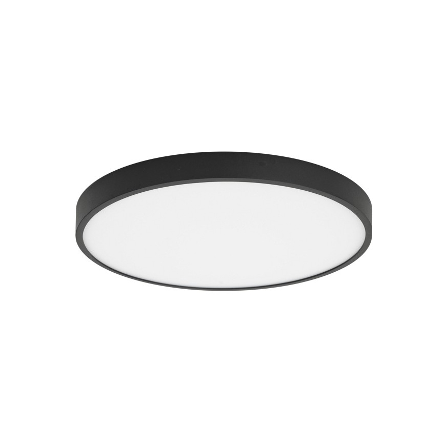 ITALUX - LED Plafon RIBERIO LED/30W/230V 4000K czarny