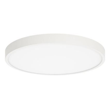 ITALUX - LED Plafon RIBERIO LED/30W/230V 3000K biały