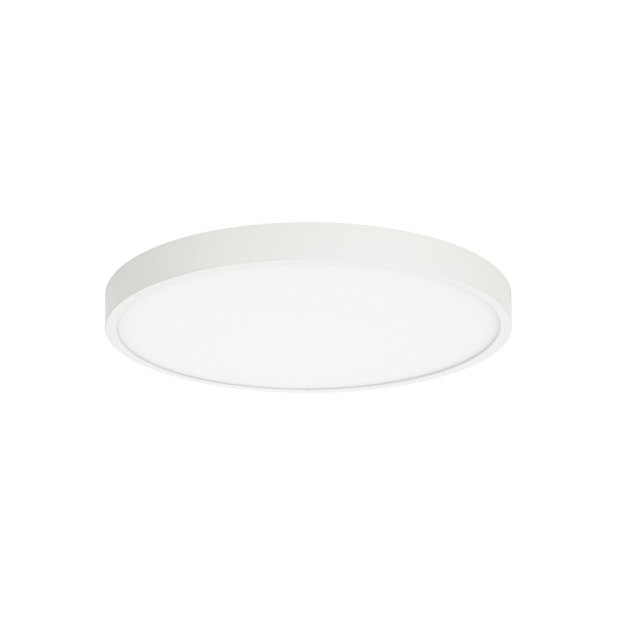 ITALUX - LED Plafon RIBERIO LED/30W/230V 3000K biały