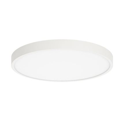 ITALUX - LED Plafon RIBERIO LED/30W/230V 4000K biały