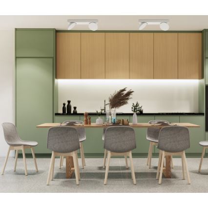ITALUX - LED Oświetlenie punktowe CASTELIO 2xLED/5W/230V 4000K białe