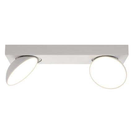 ITALUX - LED Oświetlenie punktowe CASTELIO 2xLED/5W/230V 4000K białe