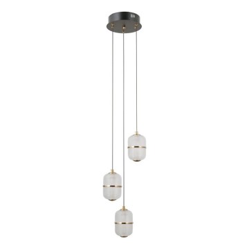 ITALUX - Żyrandol LED na lince ALANI 3xLED/5W/230V 3000K czarny/złoty