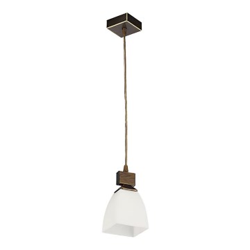 Jupiter 1107 - AB1 - Lampa wisząca ALBA 1xE27/60W/230V