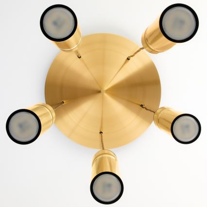 Jupiter 2020 - Żyrandol na lince ALAS 5xGU10/10W/230V złoty