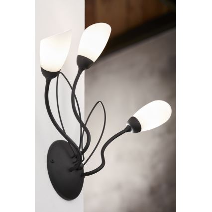 Jupiter 2059 - Kinkiet GLORIOSA 3xG9/14W/230V czarny