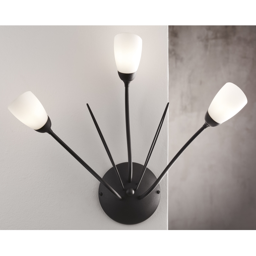 Jupiter 2059 - Kinkiet GLORIOSA 3xG9/14W/230V czarny