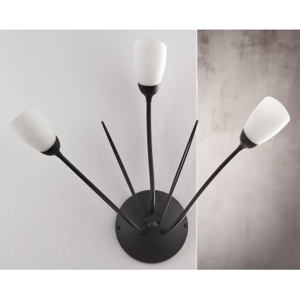 Jupiter 2059 - Kinkiet GLORIOSA 3xG9/14W/230V czarny