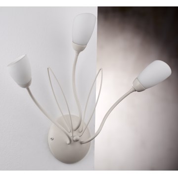 Jupiter 2064 - Kinkiet GLORIOSA 3xG9/14W/230V kremowy