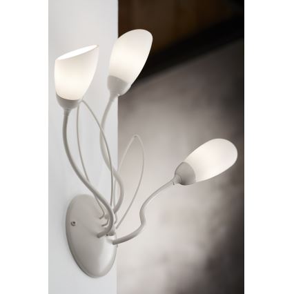 Jupiter 2064 - Kinkiet GLORIOSA 3xG9/14W/230V kremowy