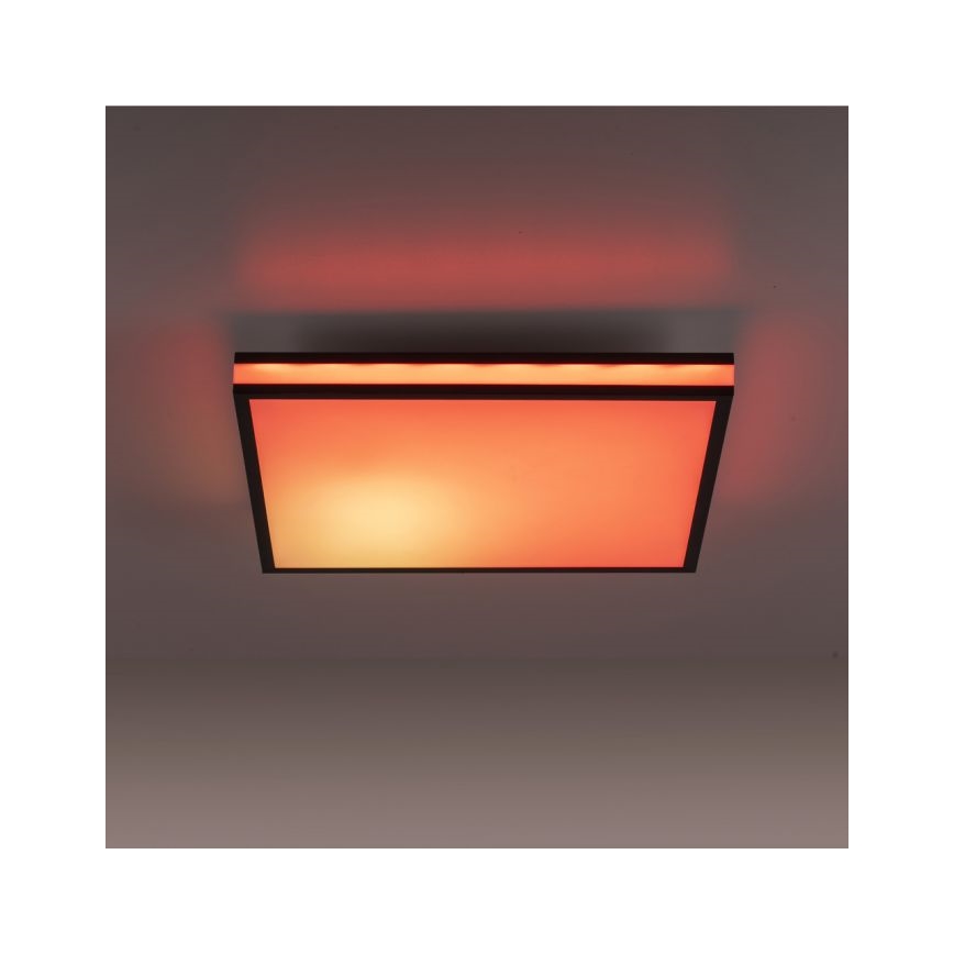 JUST LIGHT. 14110-18 - LED RGBW Ściemnialny plafon MARIO BLACK LED/19,5W/230V 2700-5000K + Pilot zdalnego sterowania