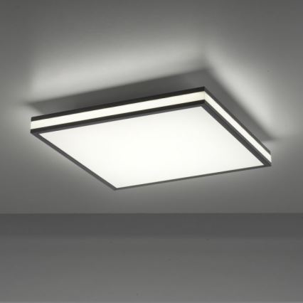 JUST LIGHT. 14110-18 - LED RGBW Ściemnialny plafon MARIO BLACK LED/19,5W/230V 2700-5000K + Pilot zdalnego sterowania