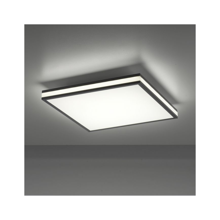 JUST LIGHT. 14110-18 - LED RGBW Ściemnialny plafon MARIO BLACK LED/19,5W/230V 2700-5000K + Pilot zdalnego sterowania